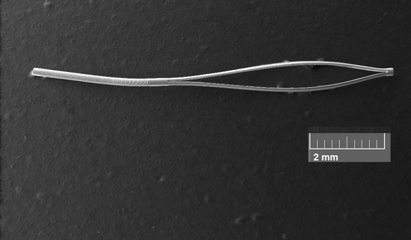 Scanning electronic microscopy image of a deployable microstent sample.