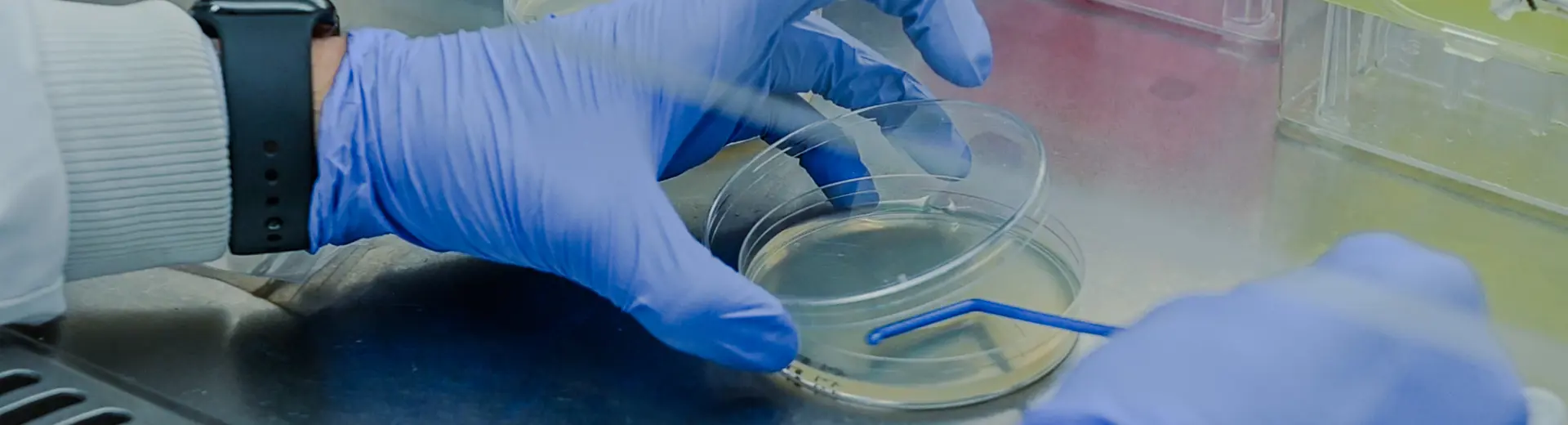 Green hydrogen research in the lab