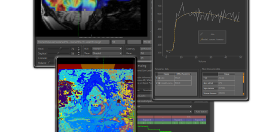 Collage of scan images